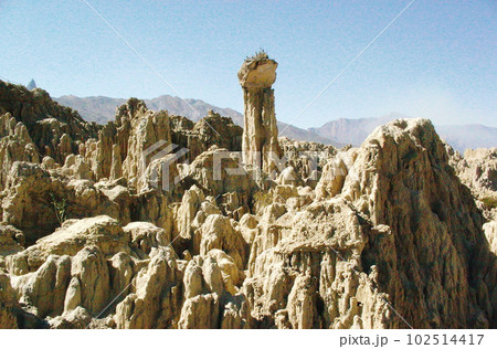 ボリビア　月の谷 102514417