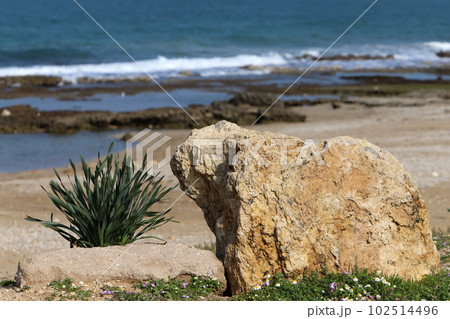 stones on the shores of the Mediterranean Sea in northern Israel stones on the shores of the Mediterranean Sea in northern Israel 102514496