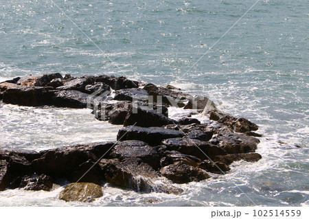 stones on the shores of the Mediterranean Sea in northern Israel stones on the shores of the Mediterranean Sea in northern Israel 102514559