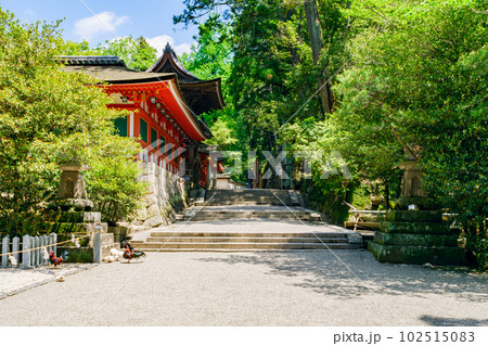 【奈良県】天理市 石上神宮 (2023/04/27撮影) 102515083