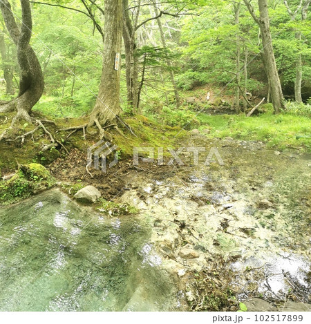 岩尾別温泉 三段の湯 知床 秘湯 絶景 102517899