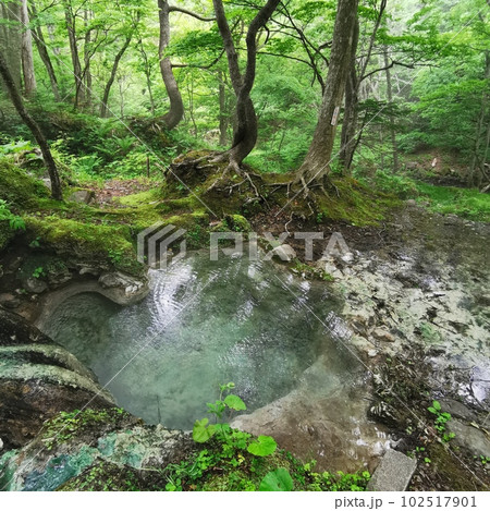 岩尾別温泉 三段の湯 知床 秘湯 絶景 知床 天然温泉 102517901