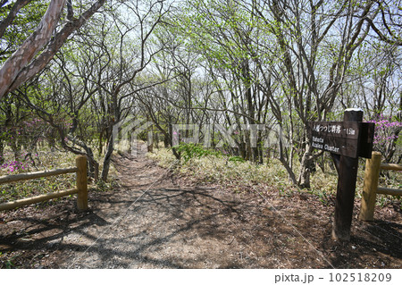 栃木県那須自然研究路入り口の風景 102518209