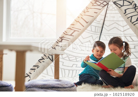 Sharing their wonderment. two adorable young siblings reading a book together at home. Sharing their wonderment. two adorable young siblings reading a book together at home. 102518920
