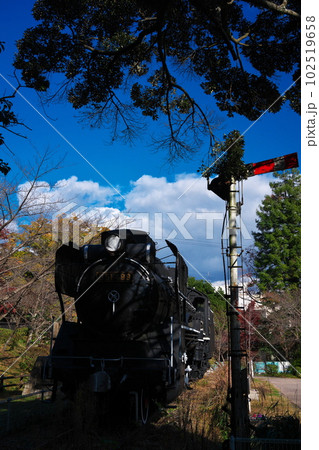 晩秋の津市偕楽公園 屋外展示されているデゴイチ 晩秋の津市偕楽公園 屋外展示されているデゴイチ 102519658