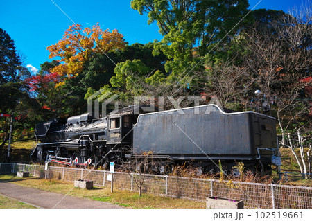 晩秋の津市偕楽公園　屋外展示されているデゴイチ 102519661
