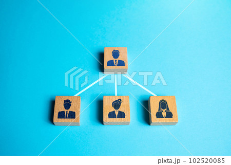 Simple hierarchical system. Delegation of work to subordinates, feedback. Distribution of inheritance. Project manager. Discipline and teamwork. Leadership and personnel management. Doing business. 102520085