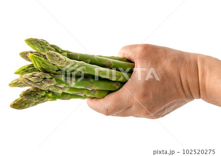 手でつかんだグリーンアスパラガス 102520275