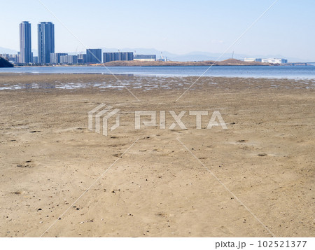 和白干潟(博多湾奥に広がる干潟)。福岡市東区。 102521377