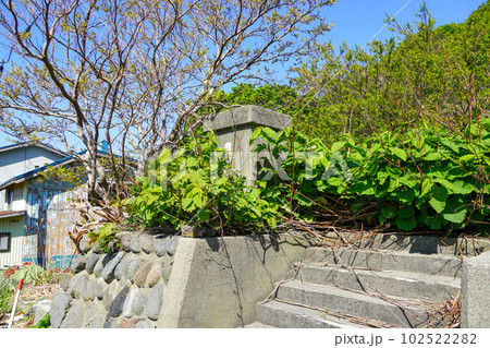 島牧村立栄浜小学校跡地 102522282