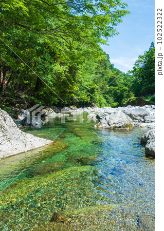 安居渓谷(仁淀ブルー):乙女河原 安居渓谷(仁淀ブルー):乙女河原 102522322