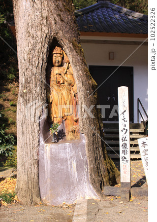 諦應寺の銀杏観音 102522326
