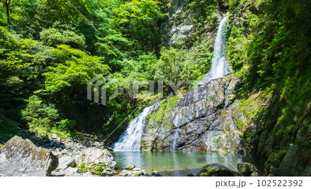 安居渓谷:飛龍の滝 安居渓谷:飛龍の滝 102522392