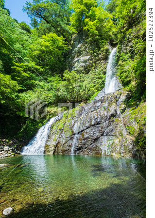 安居渓谷:飛龍の滝 安居渓谷:飛龍の滝 102522394