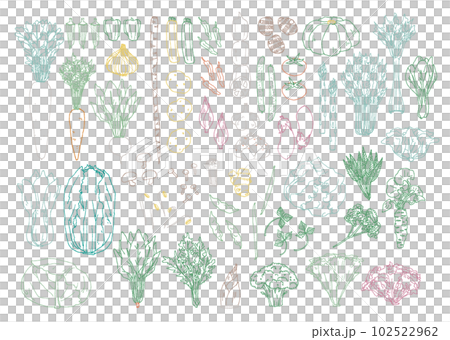 野菜の線画 野菜の線画 102522962