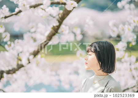 青空の桜と透明感溢れる女性 102523369