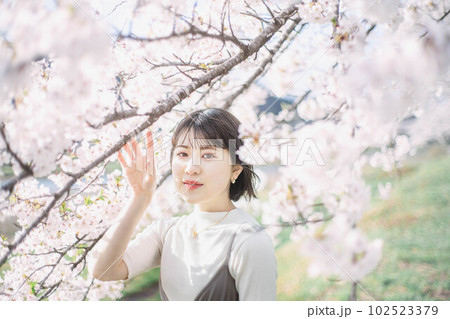 青空の桜と透明感溢れる女性 102523379