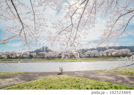 綺麗な女性二人と桜 綺麗な女性二人と桜 102523869