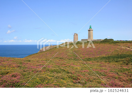 Old lighthouse and meadow full of flowers at Cap Frehel, Brittany. 102524631