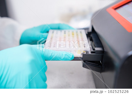 To perform microbiological analysis on multiple samples, a scientist inserts a microplate into a microplate spectrophotometer for biological analysis. 102525226