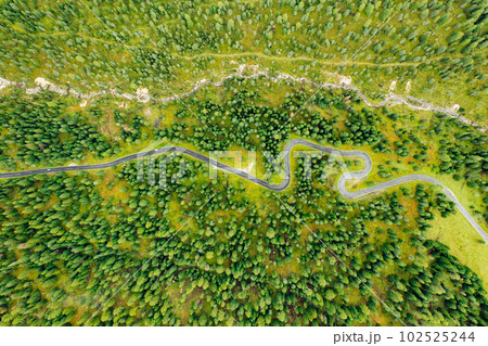 Aerial view of breathtaking Snake Road, surrounded by stunning forests and colorful autumn meadows. 102525244