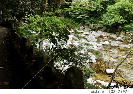 三段峡　水梨駐車場〜黒淵間の遊歩道からの景色 102525926