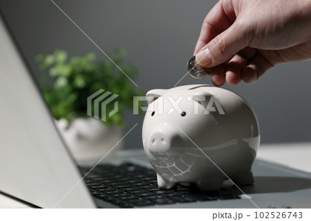 ポイ活　お小遣い稼ぎ 102526743