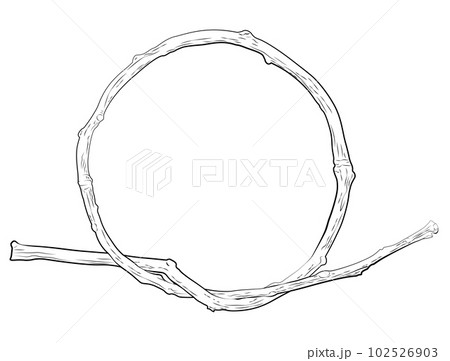 輪になった枝2 輪になった枝2 102526903