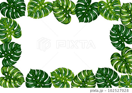 Tropical jungle frame with palm monstera leaf . Vector hand drawn border illustration for greeting card, poster, logo, packing. Banner with space for text. Tropical jungle frame with palm monstera leaf . Vector hand drawn border illustration for greeting card, poster, logo, packing. Banner with space for text. 102527028