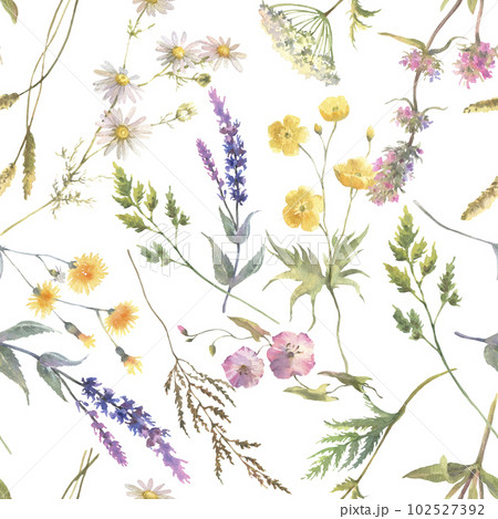Floral watercolor pattern with flowers isolated on white background. Summer meadow. Delicate watercolor textile print. 102527392