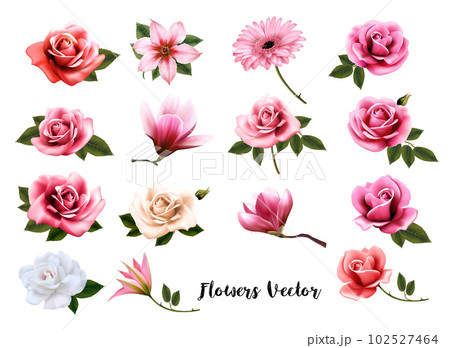 Mega collection of colorfuf fresh flowers. Vector Mega collection of colorfuf fresh flowers. Vector 102527464
