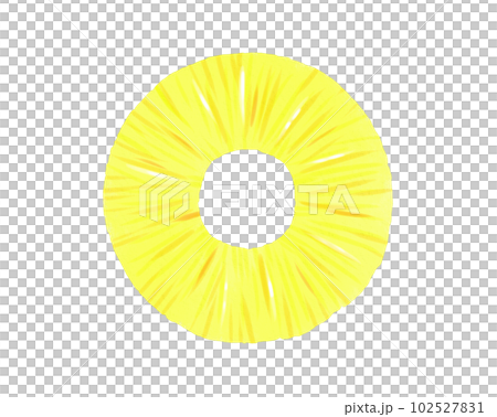 Sliced pineapple Sliced pineapple 102527831