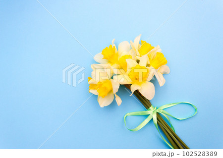 bouquet of yellow daffodils on a blue background, spring concept 102528389