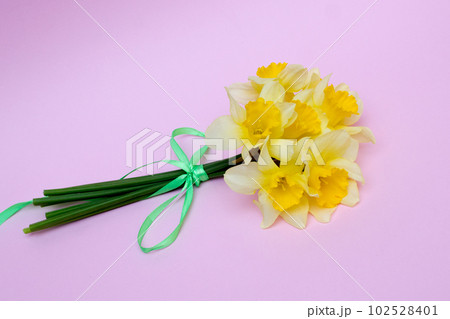 bouquet of yellow daffodils, spring gift concept bouquet of yellow daffodils, spring gift concept 102528401