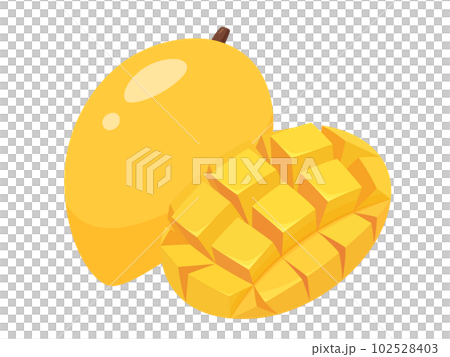 Illustration of mango 102528403