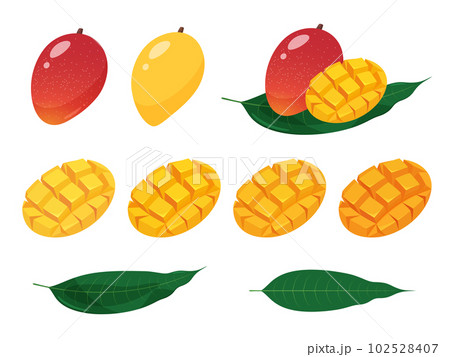 Mango Illustrations ~ Stock Mango Vectors & Clip Art | Pond5