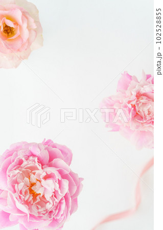 ピオニーとバラのフラワーフレーム|縦構図 ピオニーとバラのフラワーフレーム|縦構図 102528855