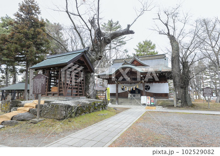 長野県　長野市　冬　八幡社 102529082