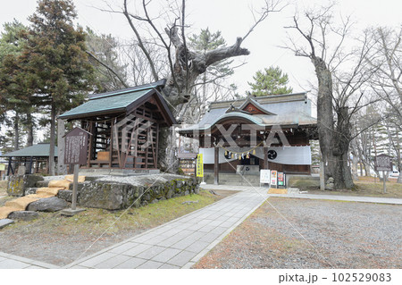 長野県 長野市 冬 八幡社 長野県 長野市 冬 八幡社 102529083