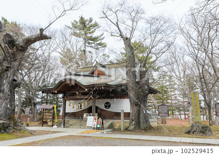 長野県　長野市　冬　八幡社 102529415