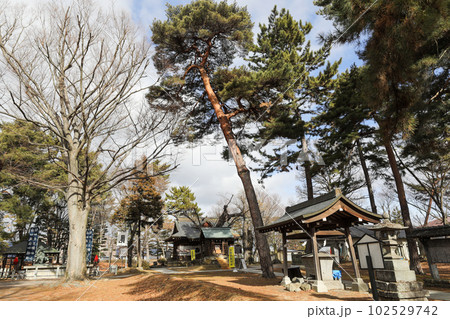 長野県　長野市　冬　八幡社 102529742