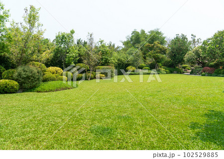 Scenic View of a Beautiful Landscape Garden with a Green Mowed Lawn Scenic View of a Beautiful Landscape Garden with a Green Mowed Lawn 102529885