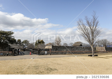 長野県　長野市　冬　松代城 102530686