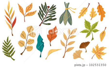 Autumn leaves set. Autumnal yellow leaf, forest nature orange leafage and september red leaves. Chestnut, dog rose and viburnum or foliage leaf. Flat isolated icons vector illustration 102531350