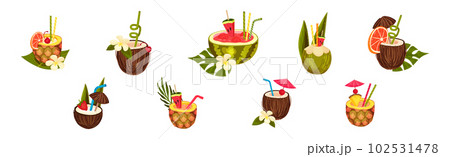 Coconut, Pineapple and Watermelon Cocktail in Half Fruit with Straw Vector Set 102531478