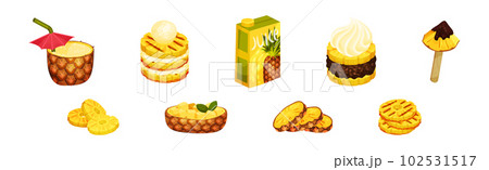 Pineapple Fruit Dessert with Cocktail and Sliced Rings Vector Set 102531517
