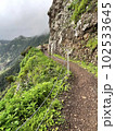 Path in the rocks over the ocean 102533645