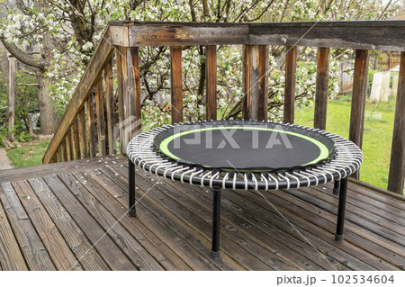 mini trampoline for fitness exercising and rebounding in a backyard patio, springtime scenery mini trampoline for fitness exercising and rebounding in a backyard patio, springtime scenery 102534604