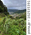 Small town in the in tropical vegetation 102535391