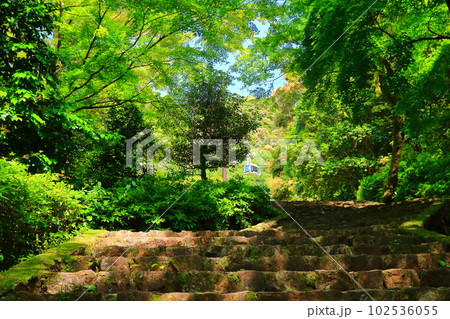 岐阜市・金華山ふもと 信長公居館跡に続く石段 2 岐阜市・金華山ふもと 信長公居館跡に続く石段 2 102536055